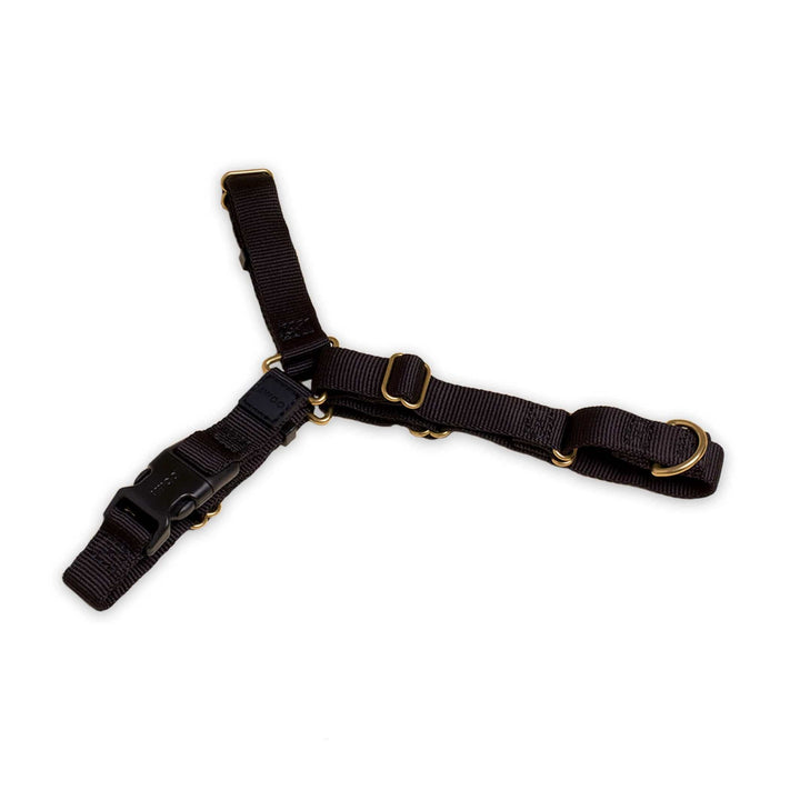Awoo Small / BLACK Roam Harness