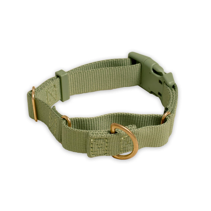 Awoo Small / OLIVE Marty Dog Collar