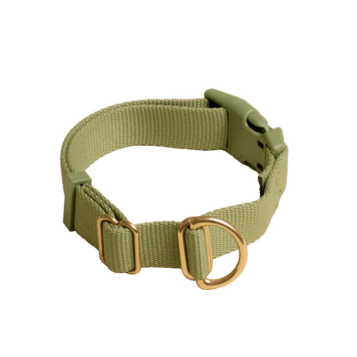 Awoo Small / OLIVE Pack Collar