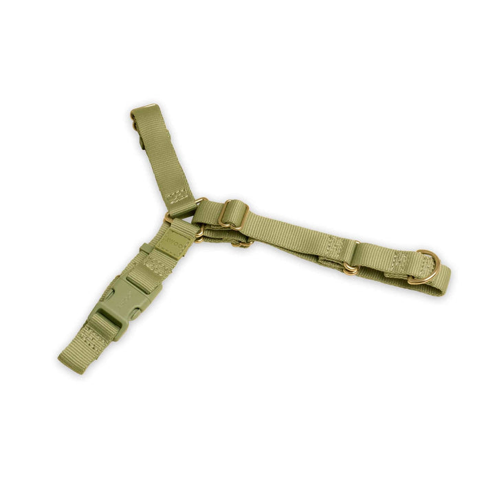 Awoo Small / OLIVE Roam Harness