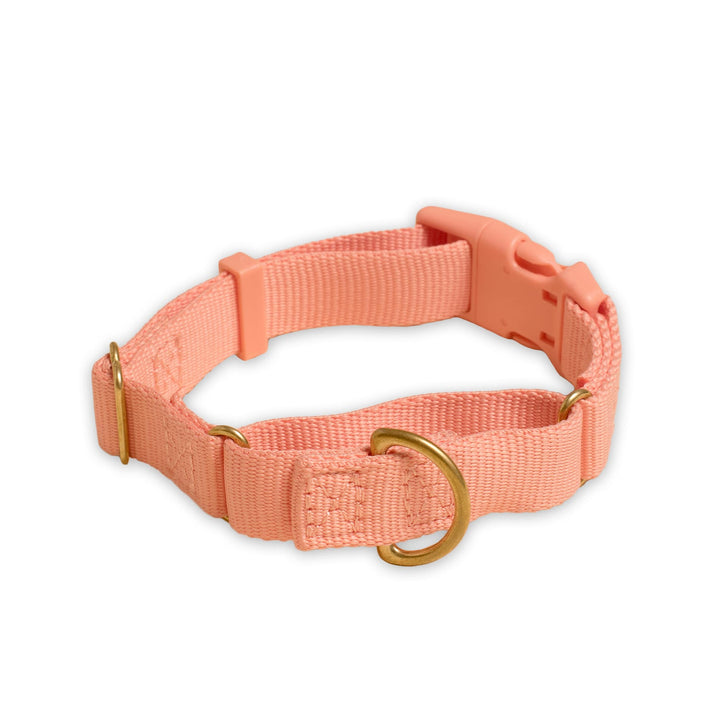 Awoo Small / PEACH Marty Dog Collar