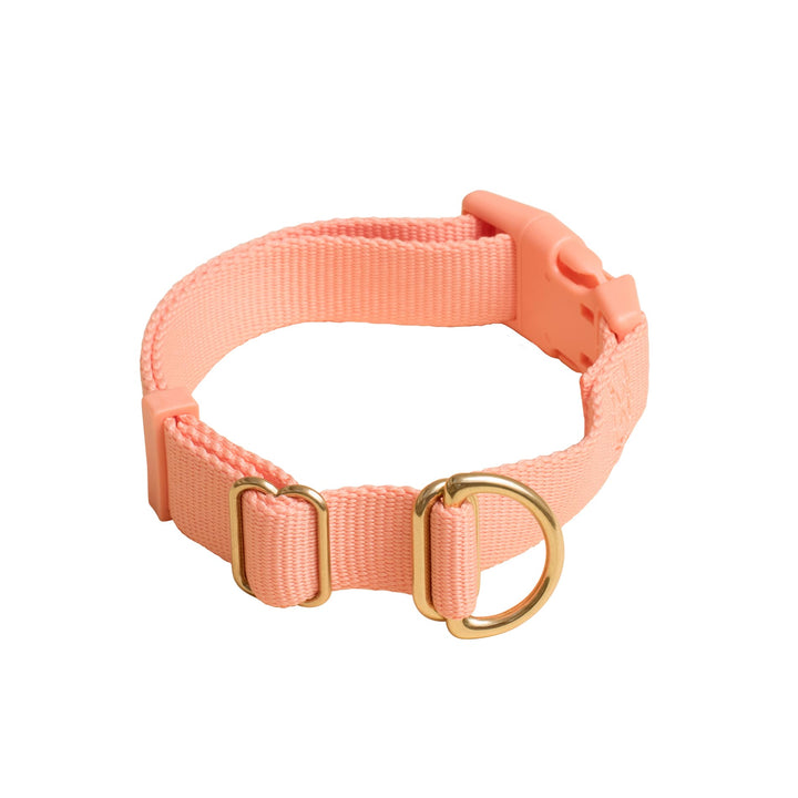 Awoo Small / PEACH Pack Collar