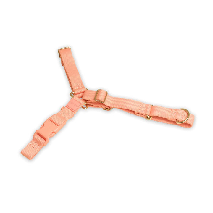 Awoo Small / PEACH Roam Harness