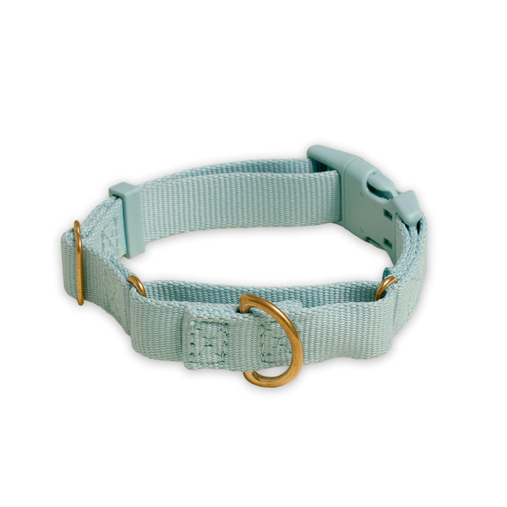 Awoo Small / SLATE Marty Dog Collar