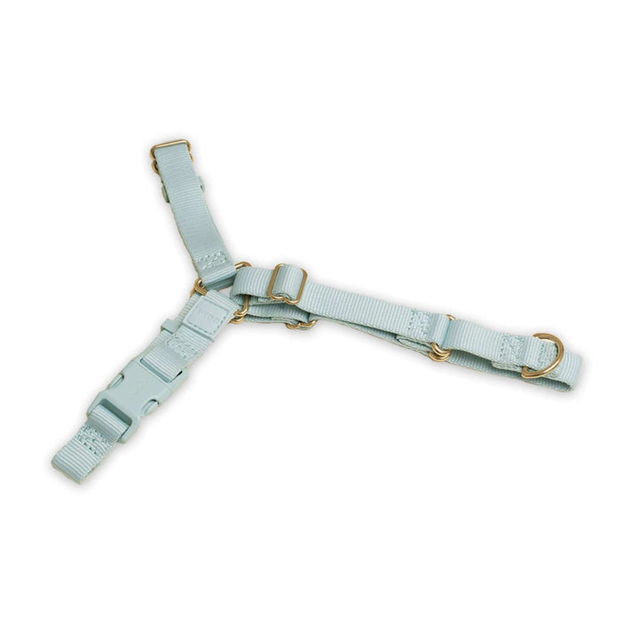 Awoo Small / SLATE Roam Harness