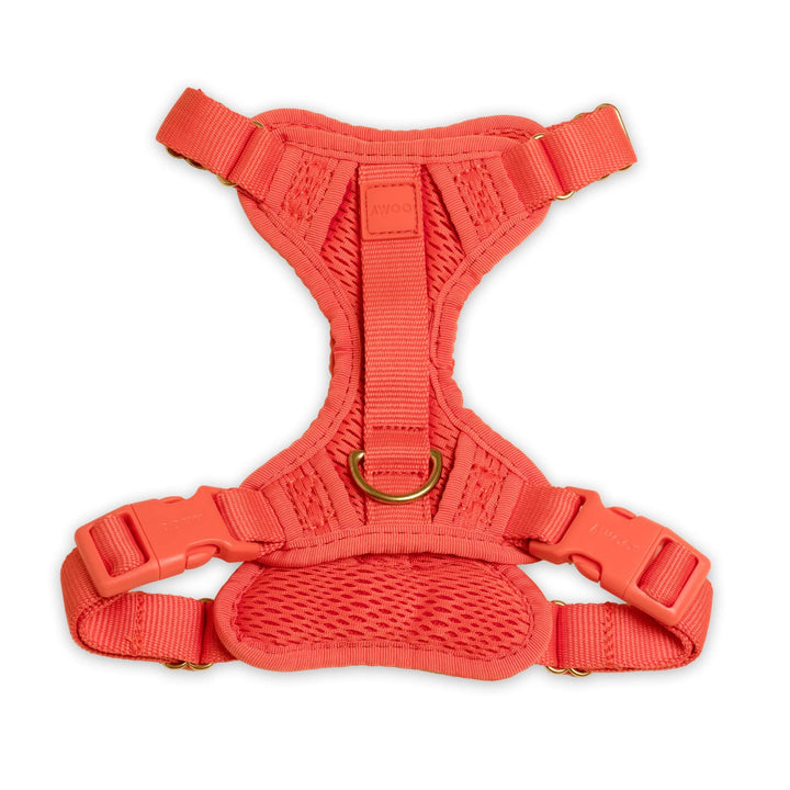 Awoo Small / SPICE Huggie Dog Harness