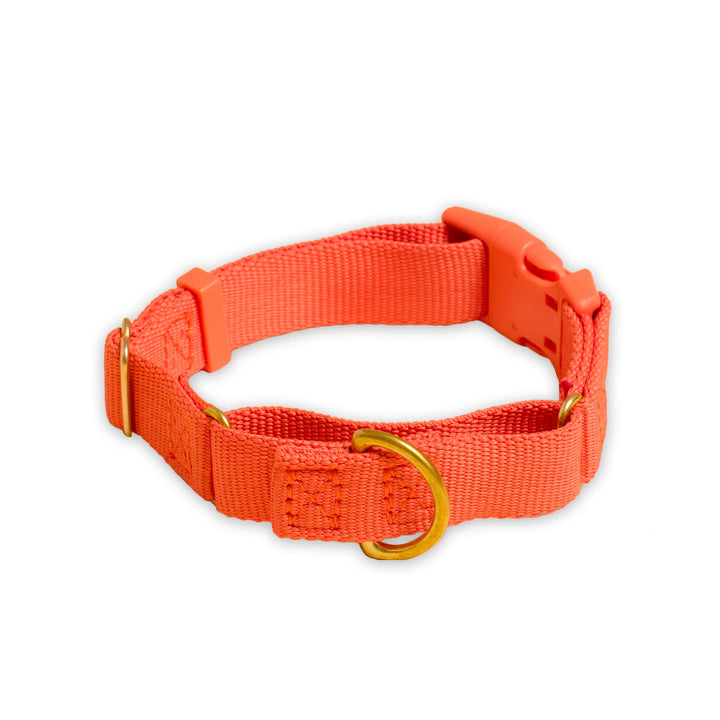 Awoo Small / SPICE Marty Dog Collar