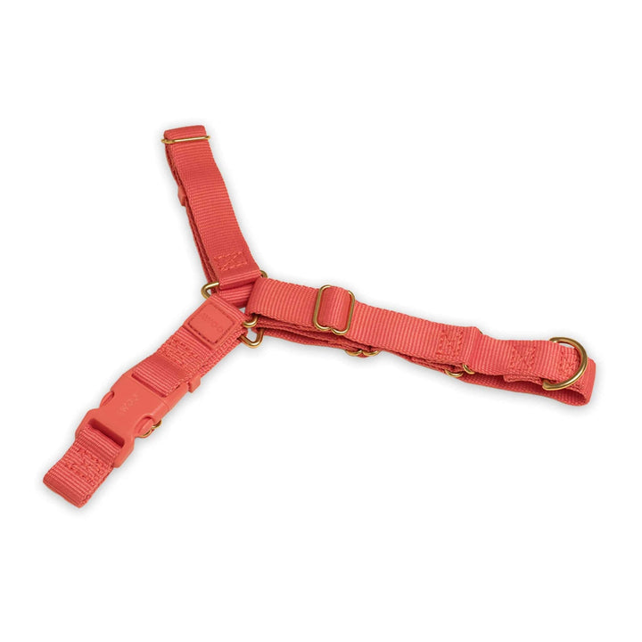 Awoo Small / SPICE Roam Harness