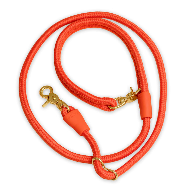 Awoo SPICE City Dog Leash
