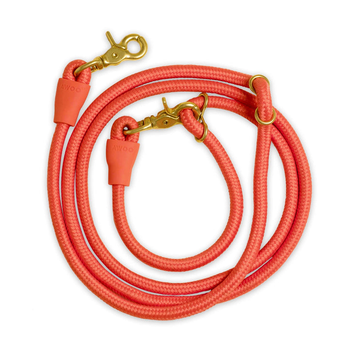 Awoo SPICE Recycled Infinity Dog Leash