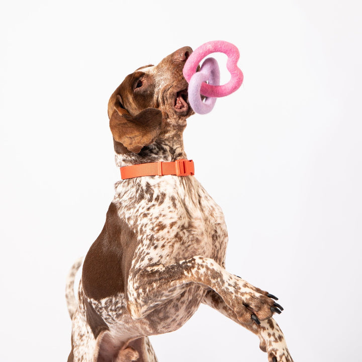 Awoo Sweethearts Felt Dog Toy