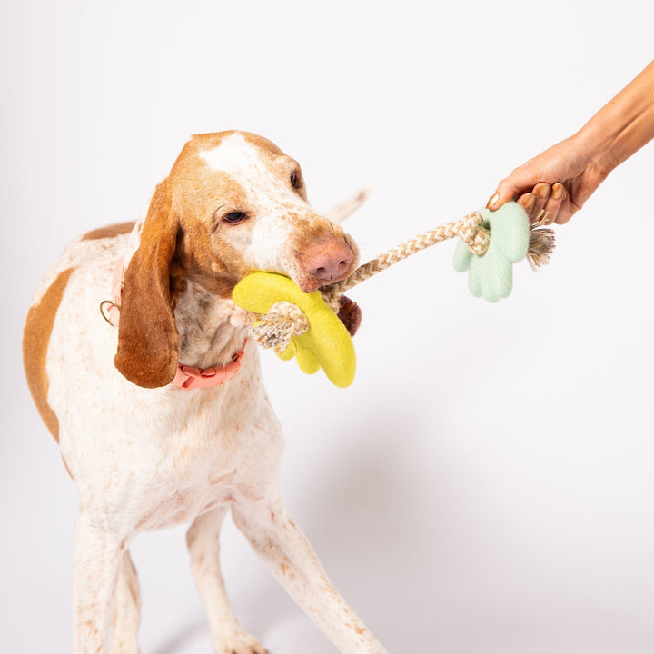 Awoo Turtle Doves Felt Dog Toy
