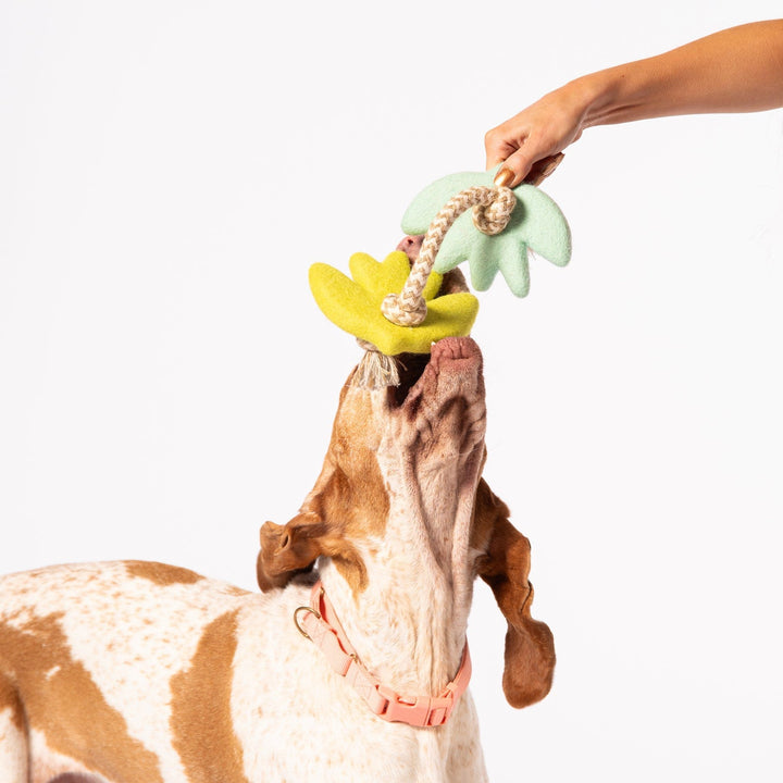 Awoo Turtle Doves Felt Dog Toy