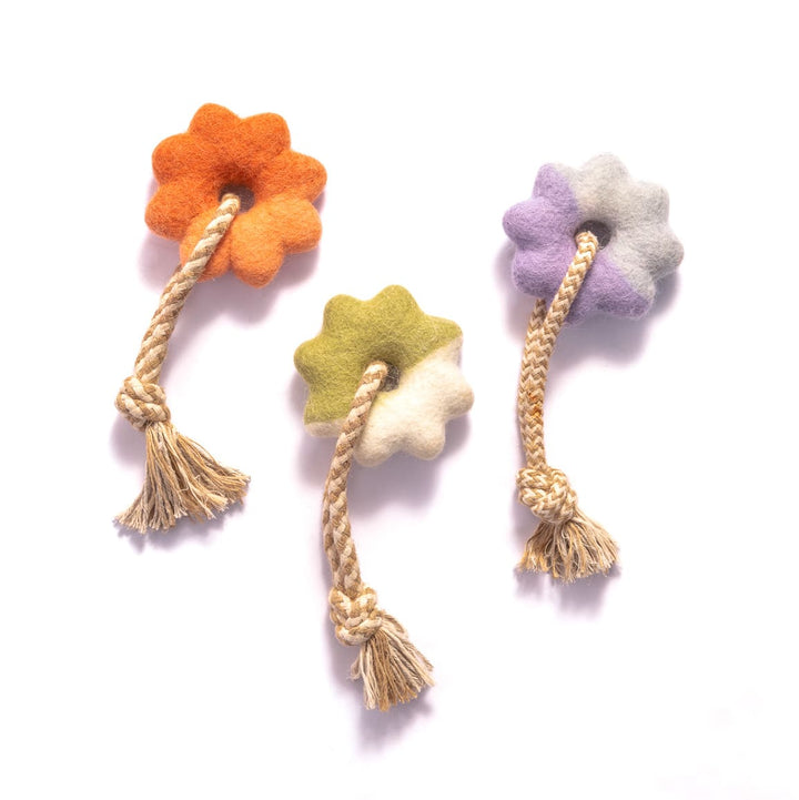 Awoo Wheely Good Time Felt Dog Toy