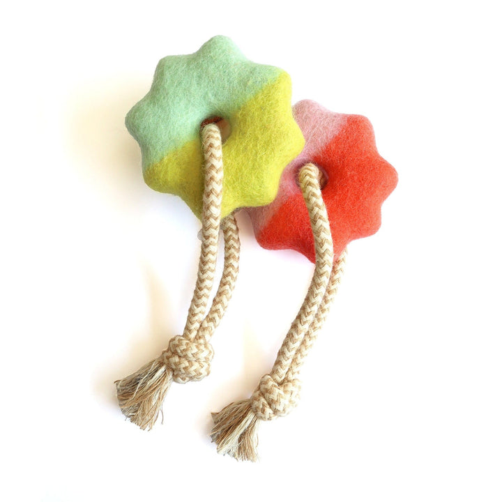 Awoo Wheely Good Time Felt Dog Toy