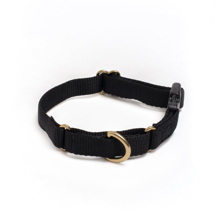 Awoo X-Small / BLACK Marty Dog Collar