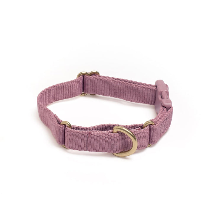 Awoo X-Small / MAUVE Marty Dog Collar