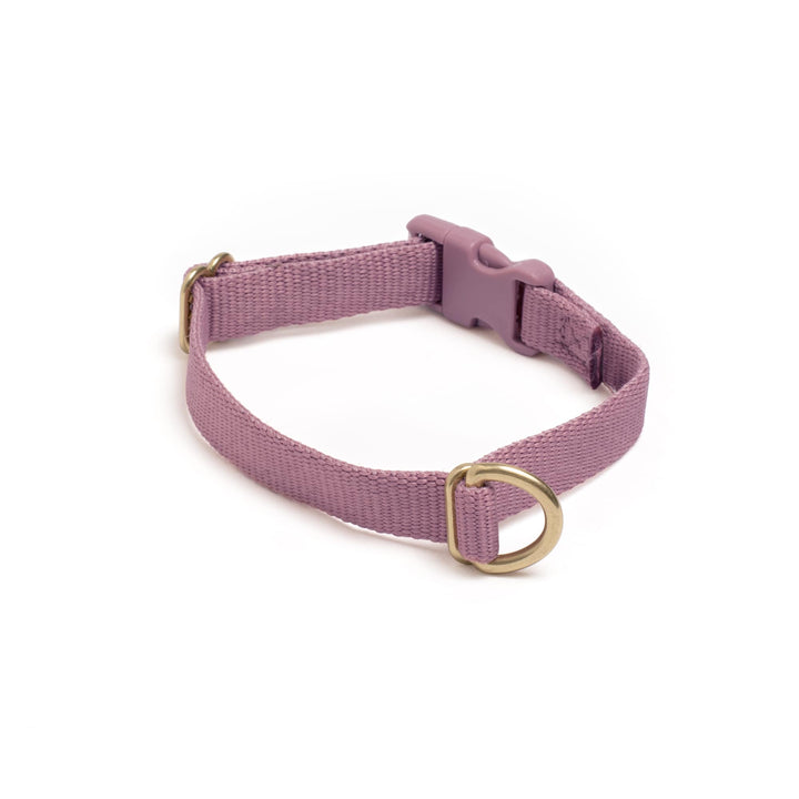 Awoo X-Small / MAUVE Pack Collar