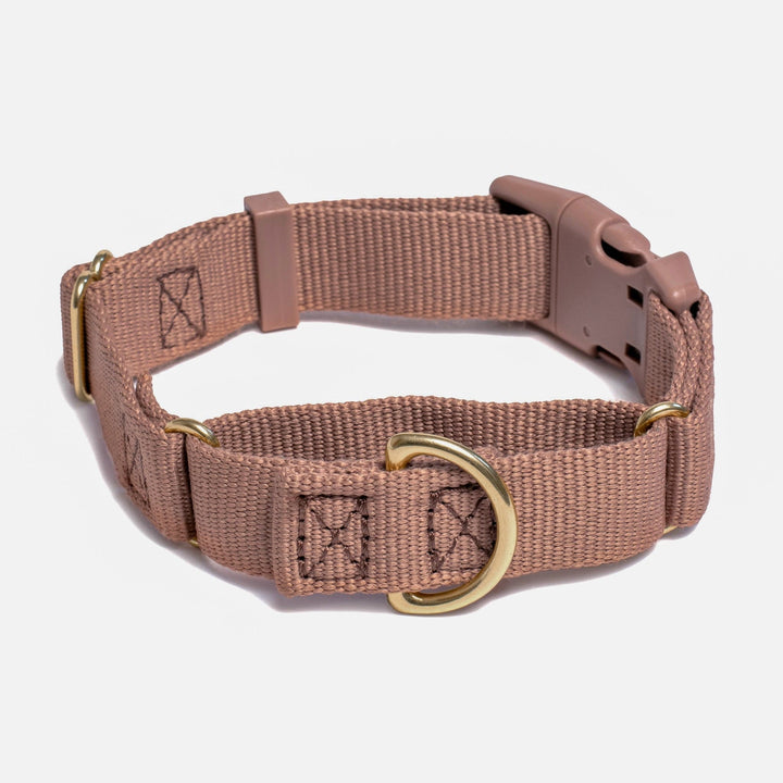 Awoo X-Small / MOCHA Marty Dog Collar