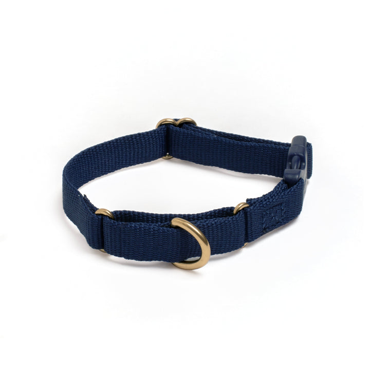 Awoo X-Small / NAVY Marty Dog Collar
