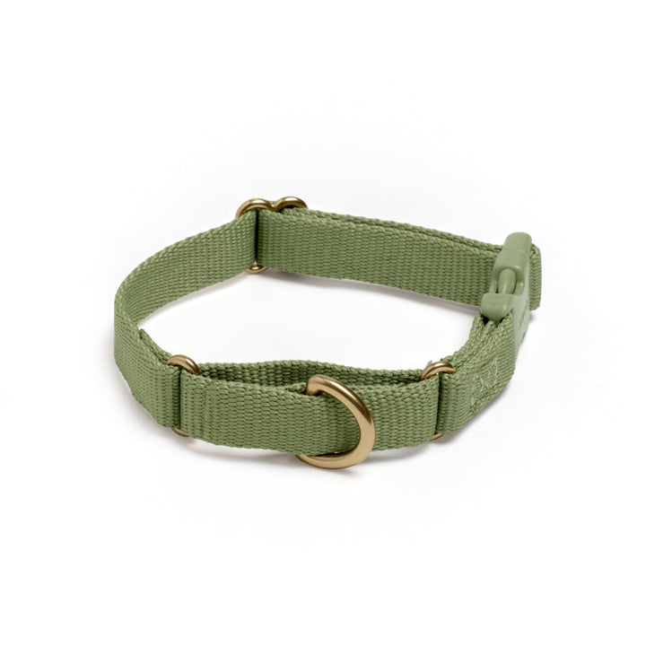 Awoo X-Small / OLIVE Marty Dog Collar