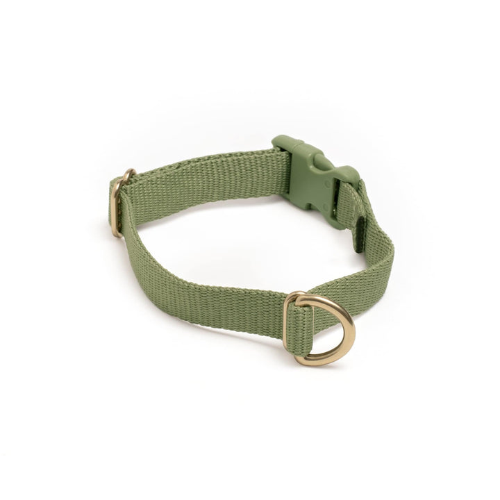 Awoo X-Small / OLIVE Pack Collar