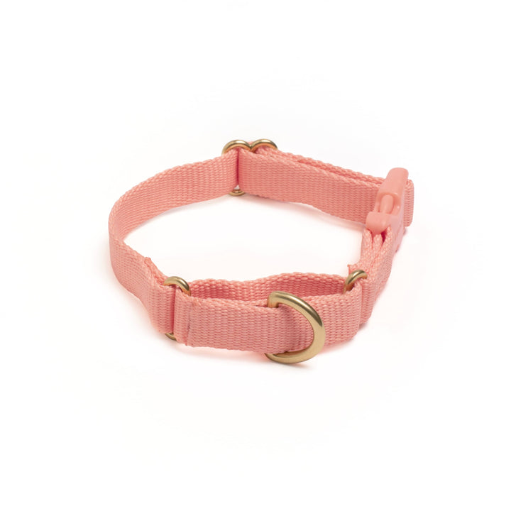 Awoo X-Small / PEACH Marty Dog Collar