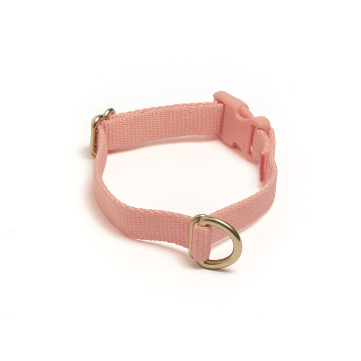 Awoo X-Small / PEACH Pack Collar