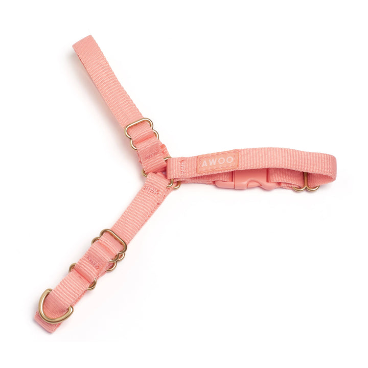 Awoo X-Small / PEACH Roam Harness