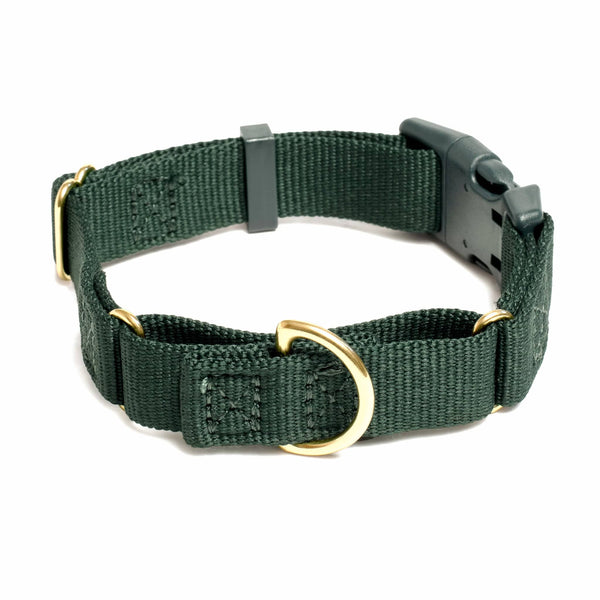 Awoo X-Small / PINE Marty Dog Collar