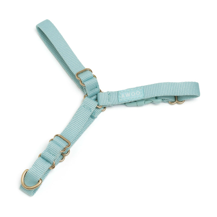 Awoo X-Small / SLATE Roam Harness