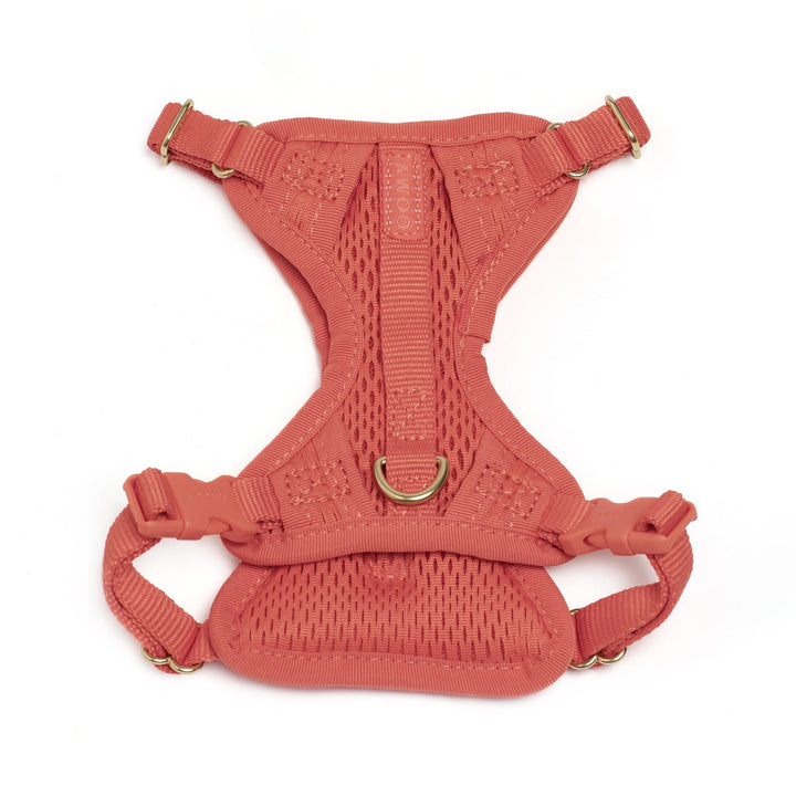Awoo X-Small / SPICE Huggie Dog Harness