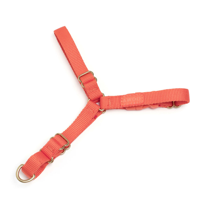 Awoo X-Small / SPICE Roam Harness