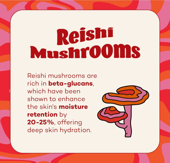 Axiology Fungdation - Reishi Mushroom Foundation