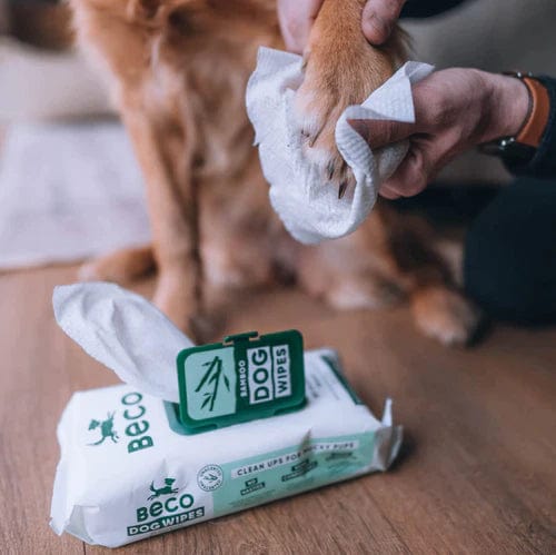 Beco Pets Bamboo Dog Wipes