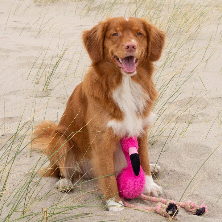 Beco Pets Flamingo Plush Rope Dog Toy