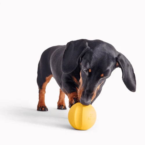 Beco Pets Natural Rubber Dog Ball