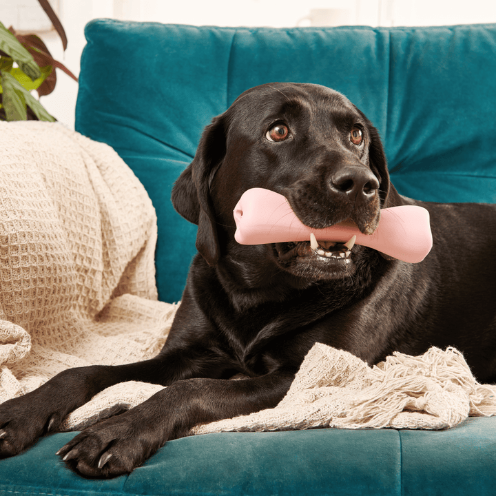 Beco Pets Natural Rubber Treat Bone
