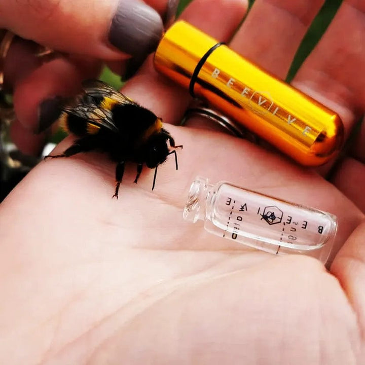 Beevive Bee Revival Kit - Butterfly & Bee Reviver, Keychain, Black or Gold
