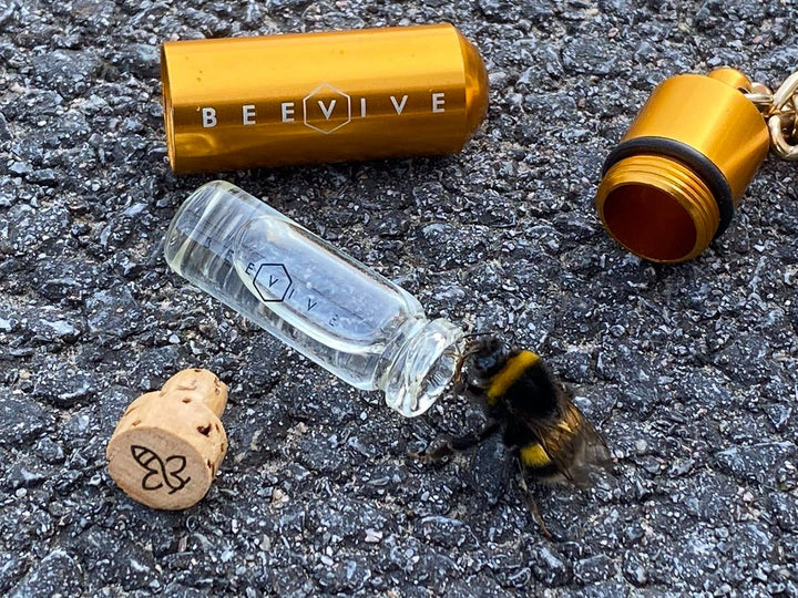 Beevive Bee Revival Kit - Butterfly & Bee Reviver, Keychain, Black or Gold