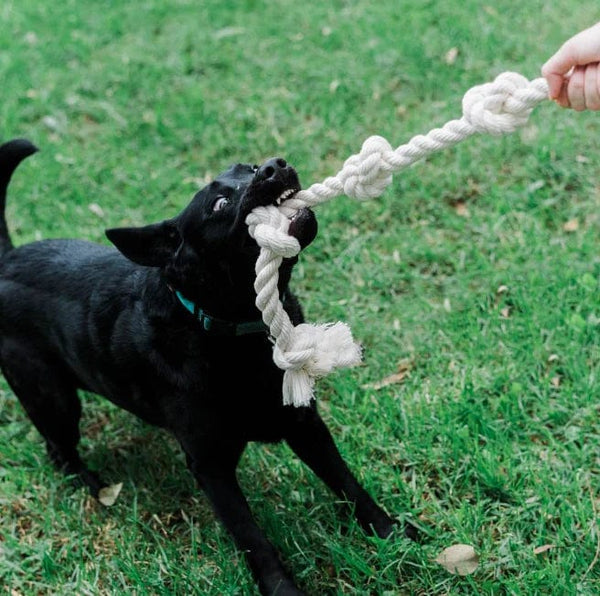 Boba & Vespa Organic Cotton Dog Rope Toy 1"