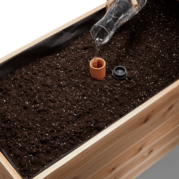 Self-Watering Clay Olla Pot