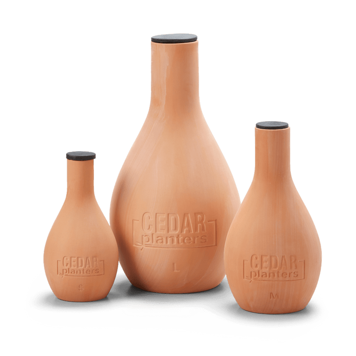 Self-Watering Clay Olla Pot