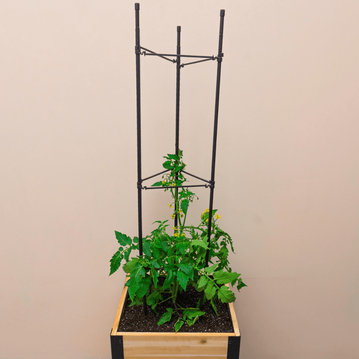 Vegetable Cage
