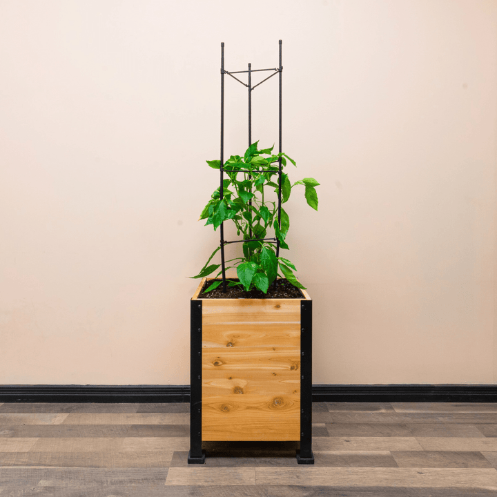 Vegetable Cage
