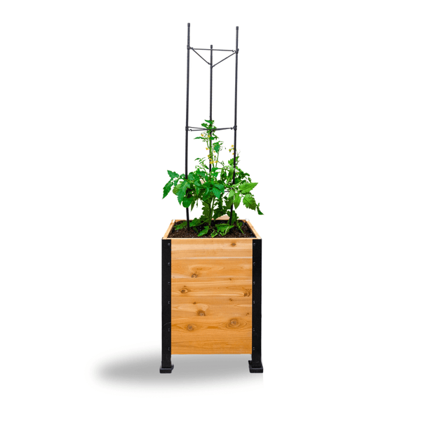 Vegetable Cage