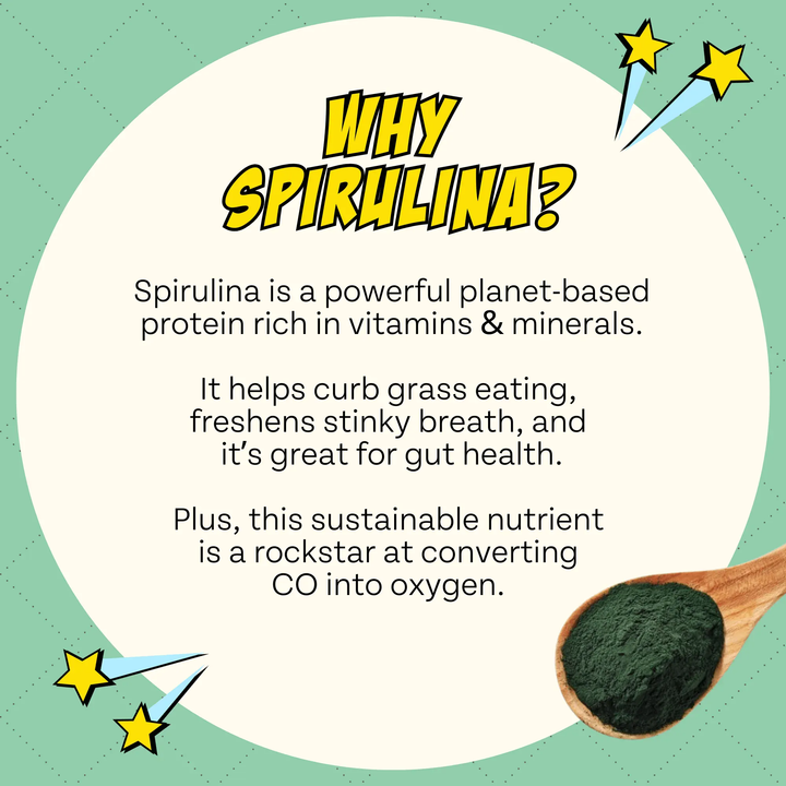 Chippin 2 Pack Veggie Dailies with Spirulina, 2-Pack