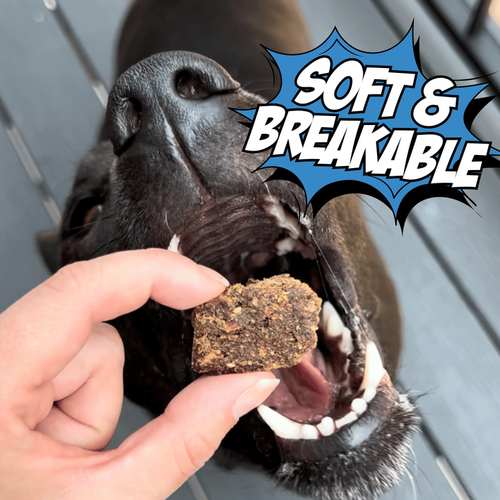 Chippin 2 Pack Wild-Caught Fish Jerky, 2-Pack