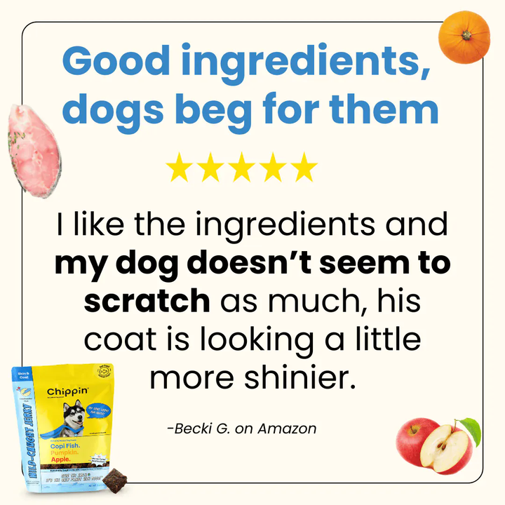 Chippin Allergy-Friendly Dog Treats, 6-Pack