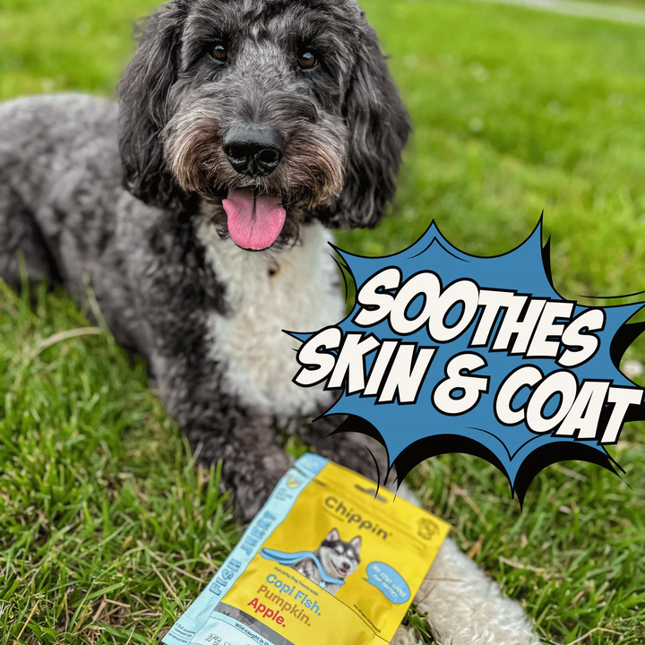 Chippin Allergy-Friendly Dog Treats, 6-Pack